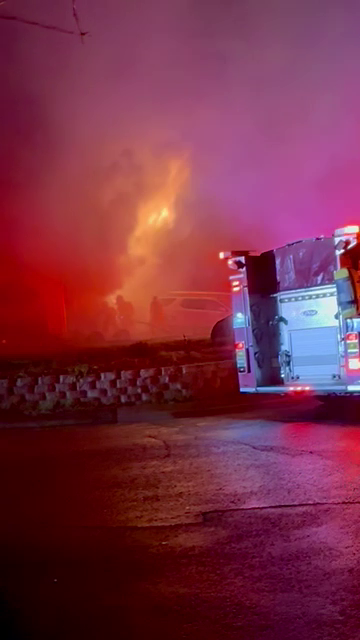 3 dogs killed, 1 person injured in Citrus Heights house fire on New ...
