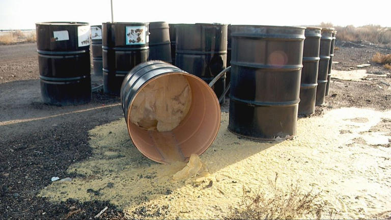 Environmental groups call for faster action after two dozen steel oil ...