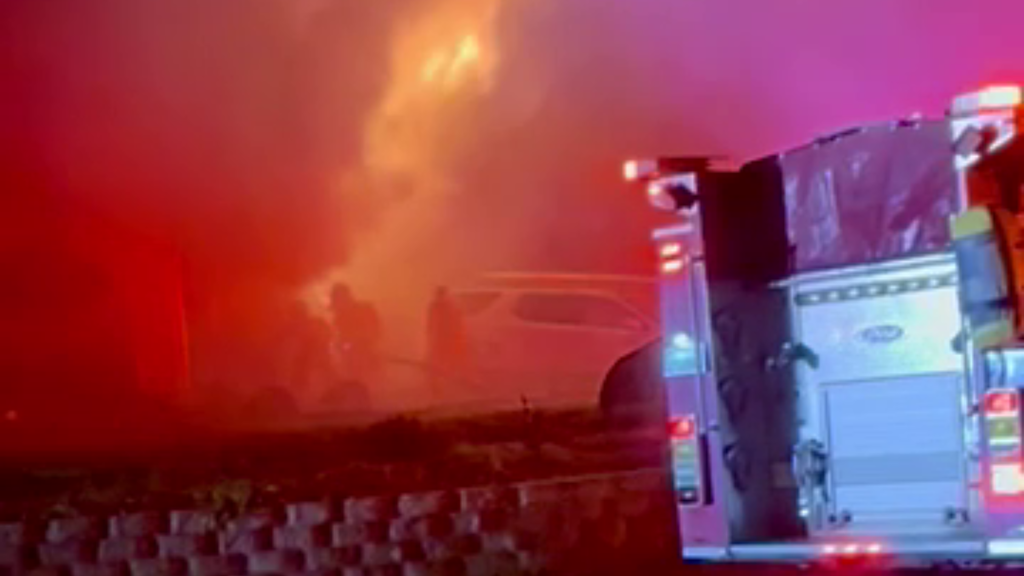 3 dogs killed, 1 person injured in Citrus Heights house fire on New ...