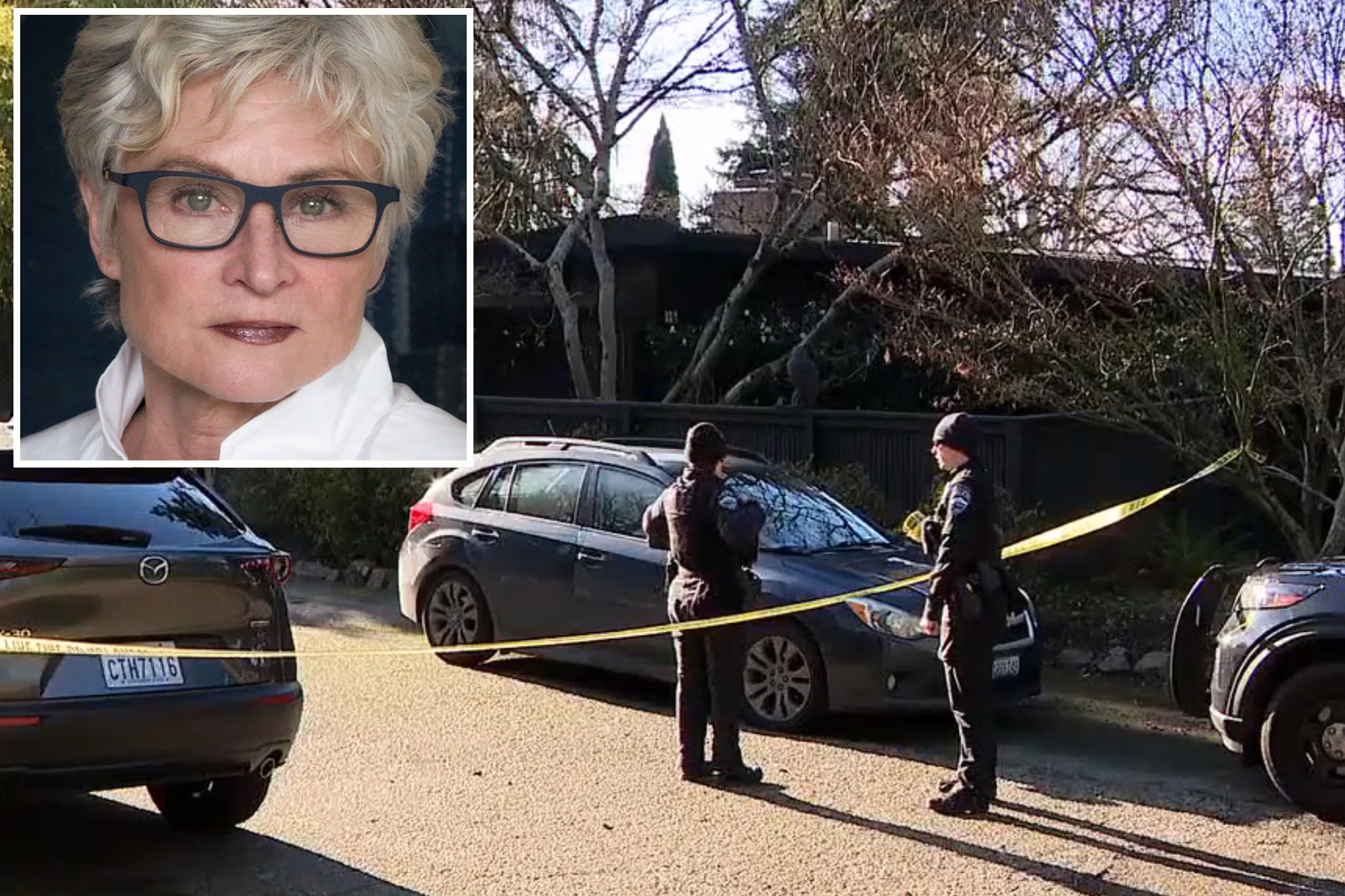 Artist, 80, two sons among four dead in triple murder-suicide in ...