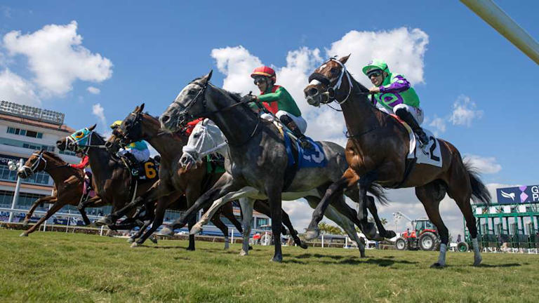 16 of the best horse races across America for New Year's Day 2026