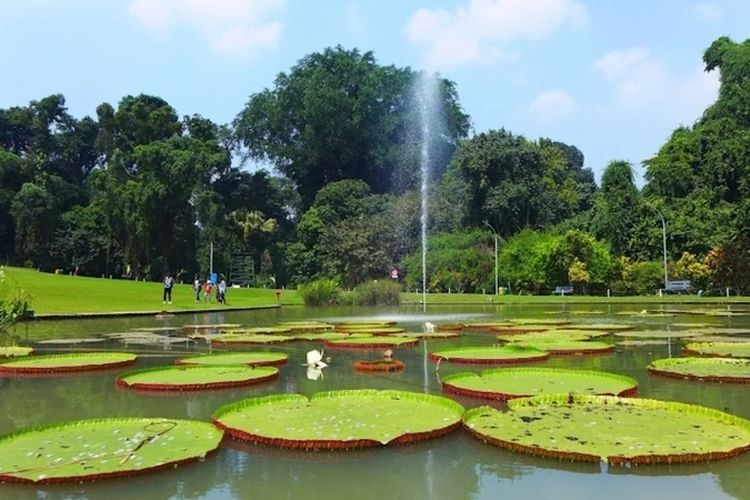 10 destinasi alam Bogor untuk tahun baru 2026, sempurna untuk liburan dan relaksasi