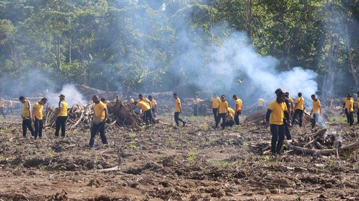 Sukoharjo Membawa Kemakmuran, Revolusi Harga Pupuk ke Surplus Beras Nasional