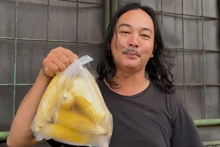 Kisah PNS yang Menggantung Harapan di Tengah Jagung Musiman