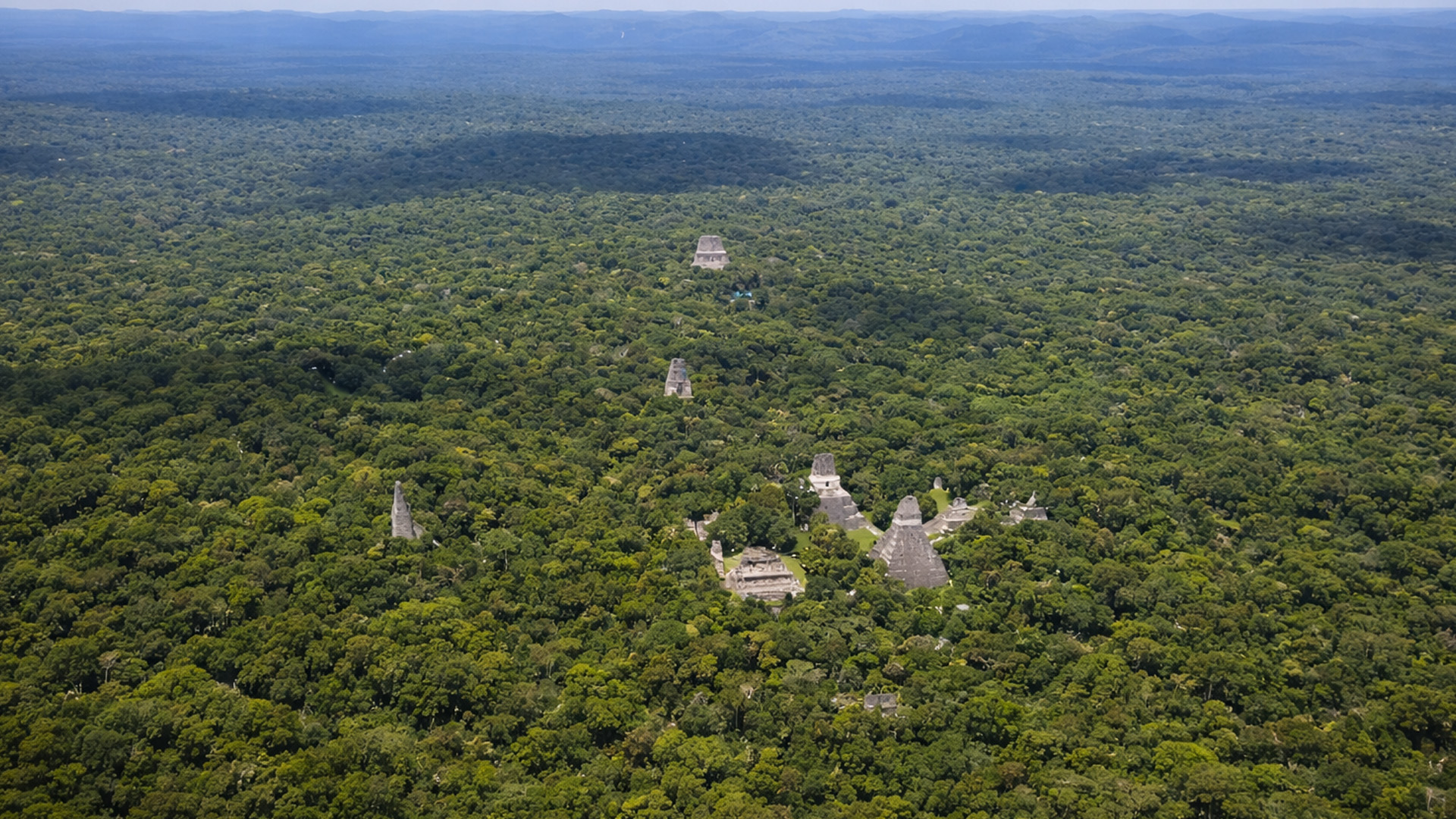 Ancient temples rise above the trees