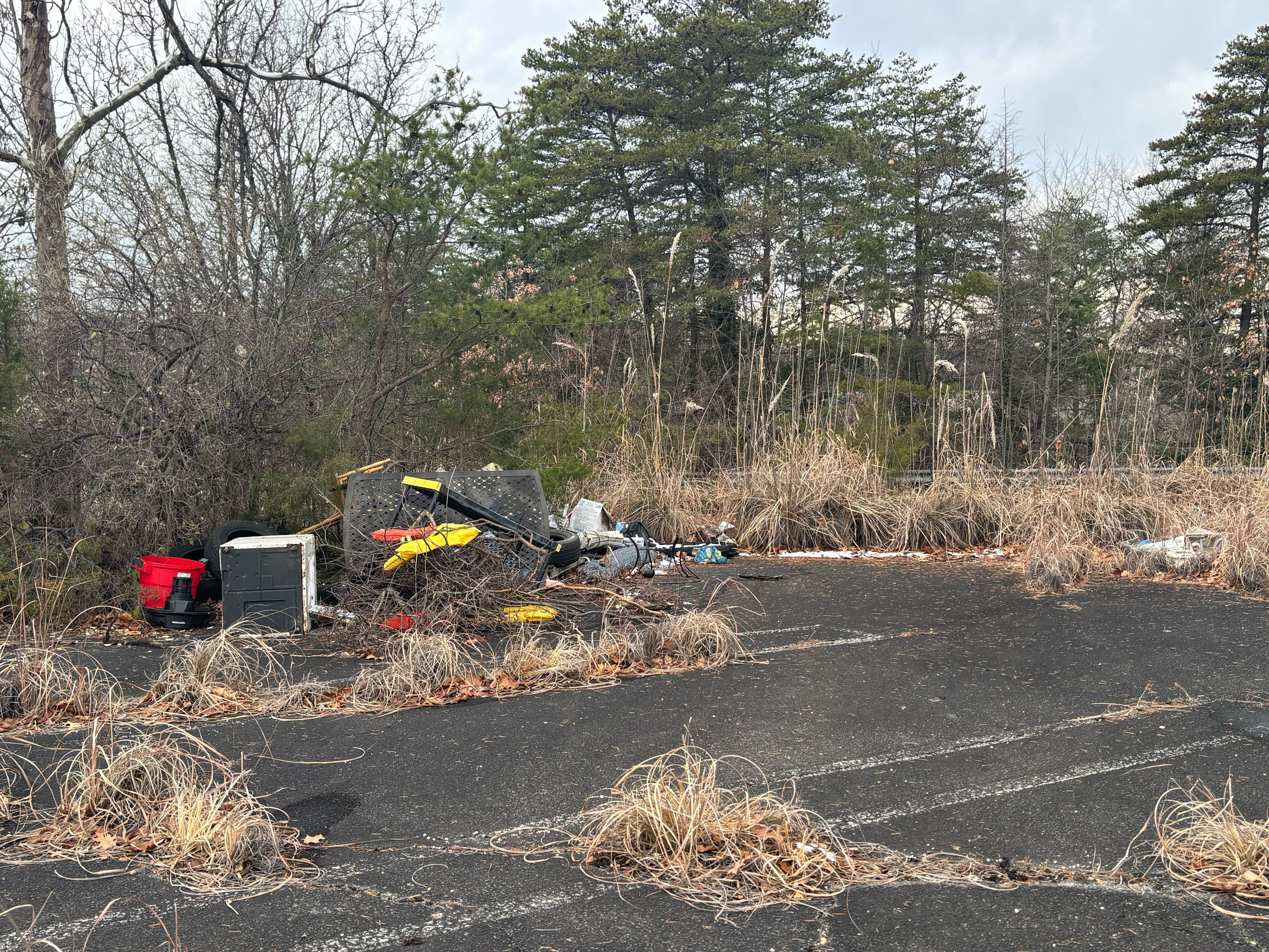 Data centers spark a 'fight for the soul' of this mostly Black Maryland county