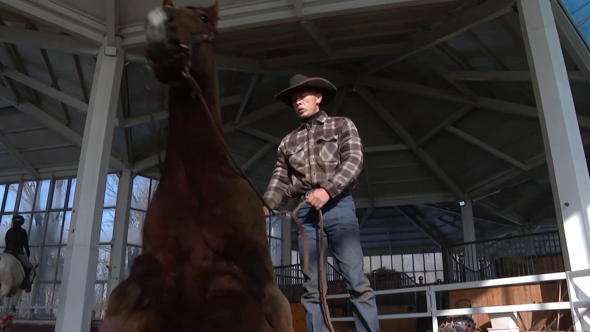 Yee haa! Equine pursuits hope for a boom during the Chinese Year of the ...