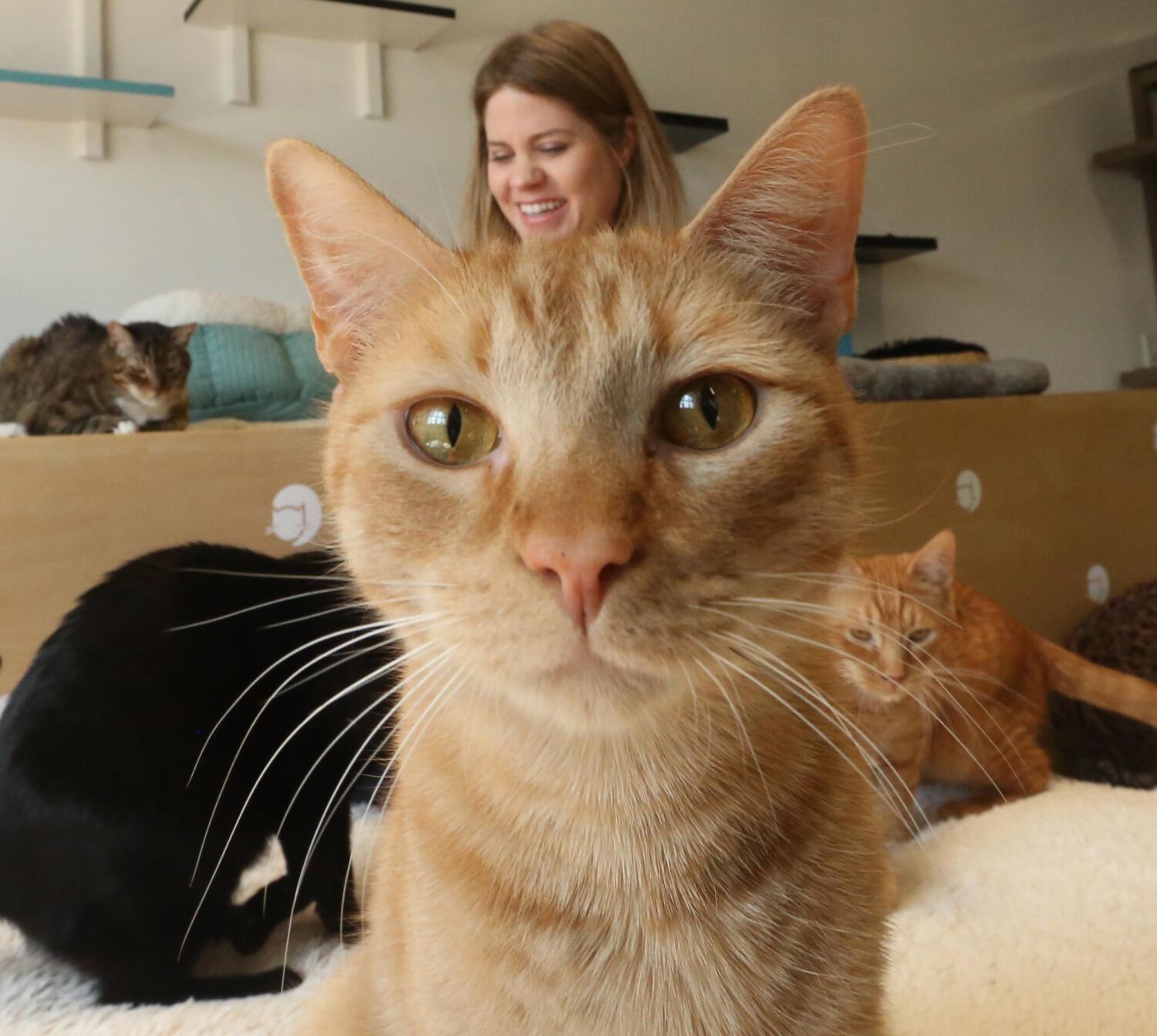 ((Genaro Molina / Los Angeles Times))