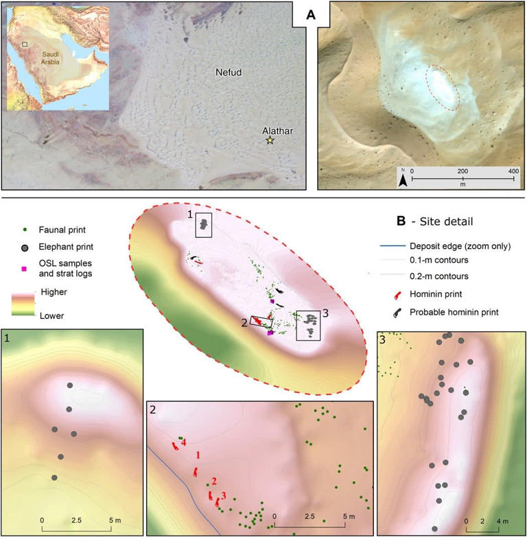 115,000-year-old footprints found in a place where humans weren’t ...