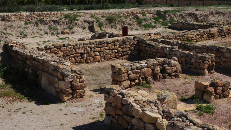 Eight seasons of exhaustive digs at an ancient Roman site in Spain ...