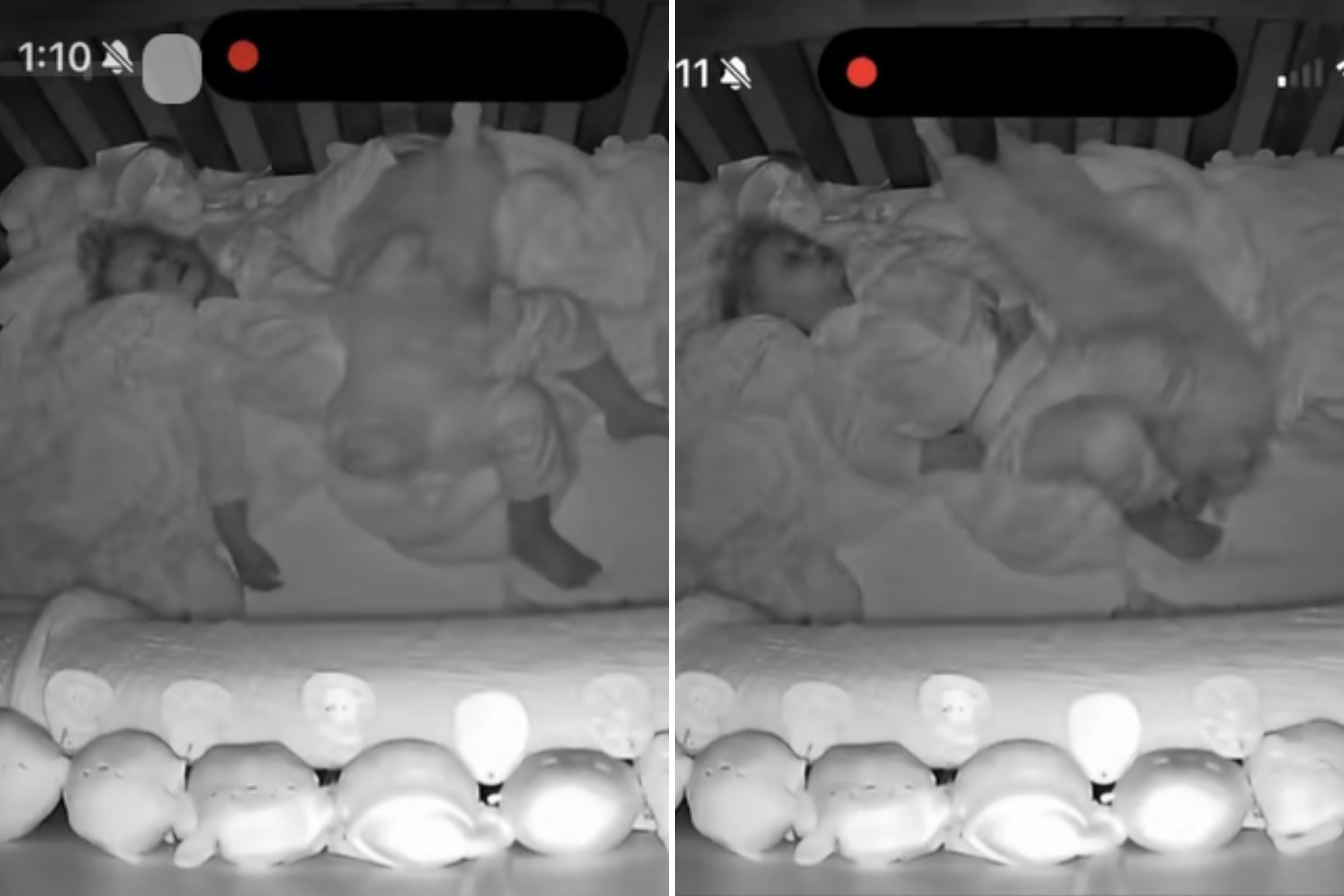 Cat accidentally locked in toddler’s room at night—baby cam captures it all<br><br>