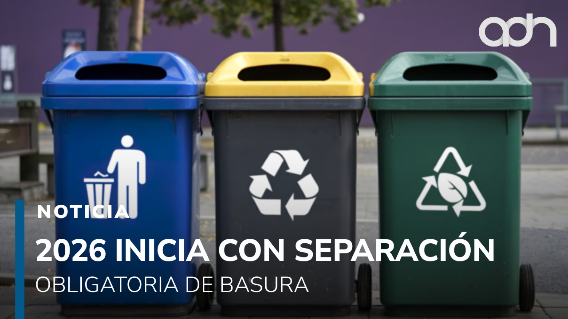 A partir de este 2026 inicia con separación obligatoria de basura en la ...