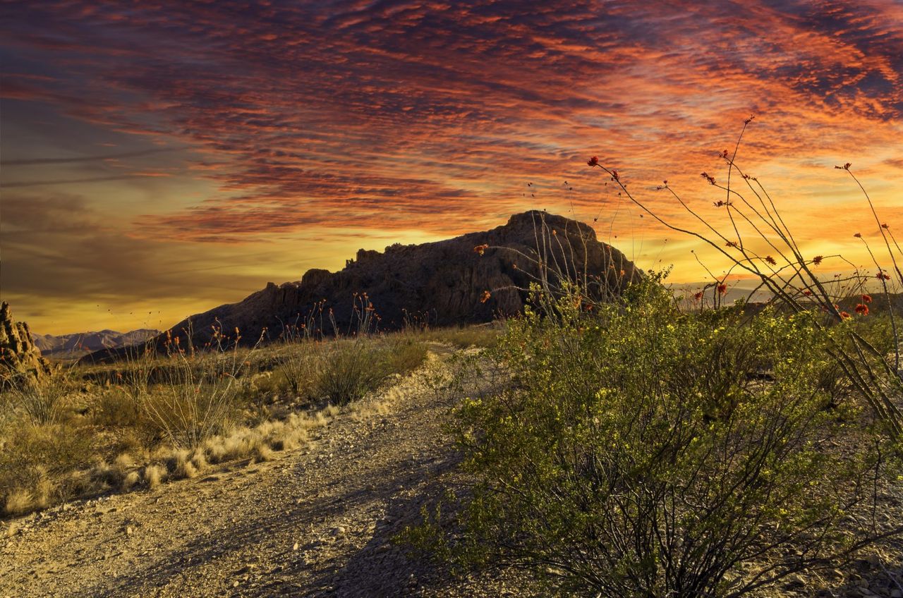 Terlingua Texas Sunset