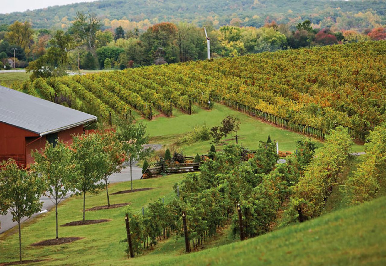 Virginia's Wine Country Hills