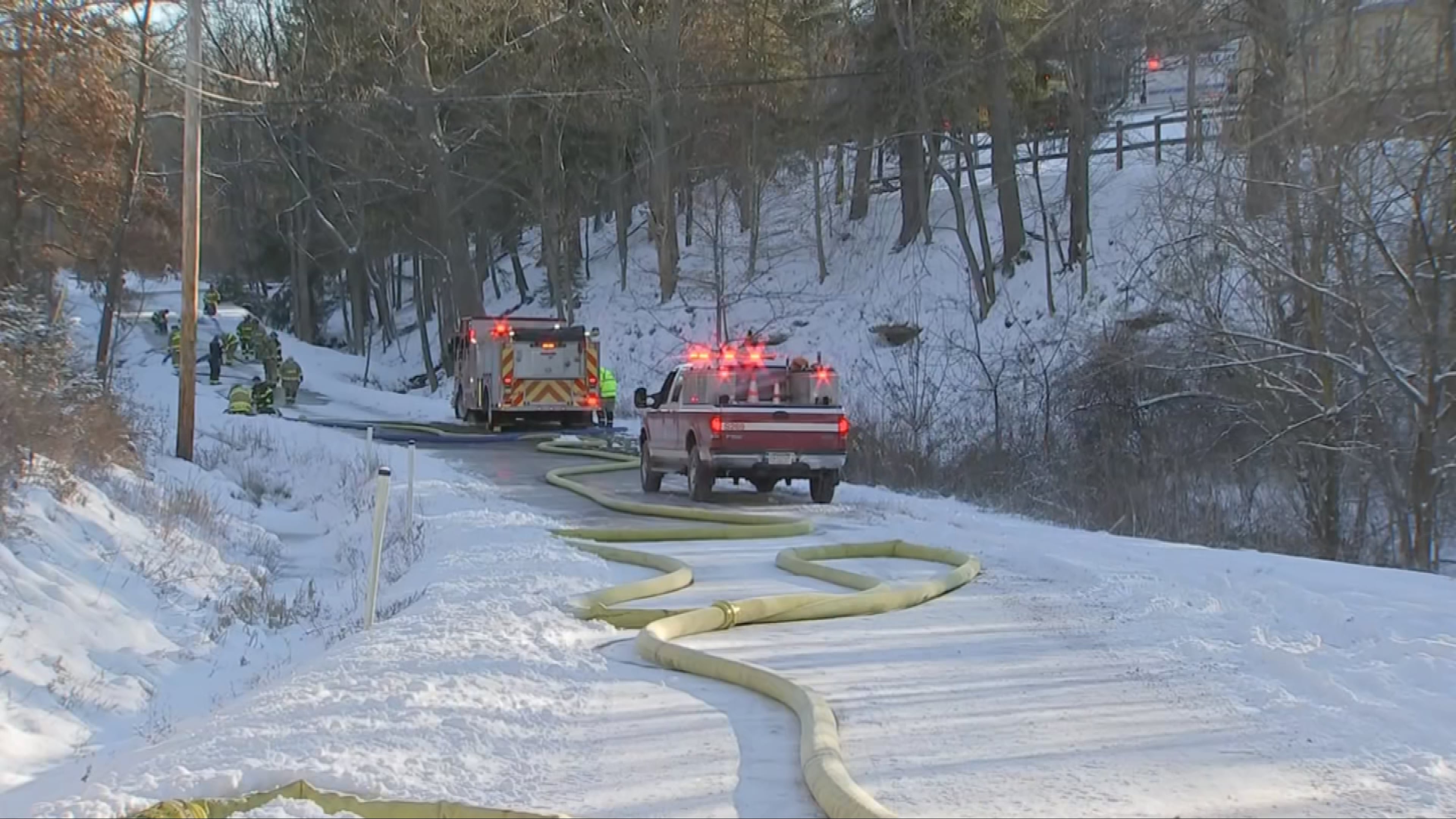 Fire damages apartments, kills dogs near event venue in Allegheny County