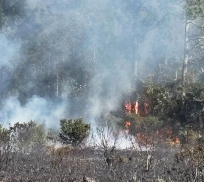 Controlled burn in St. Johns County gets out of control as crews battle ...