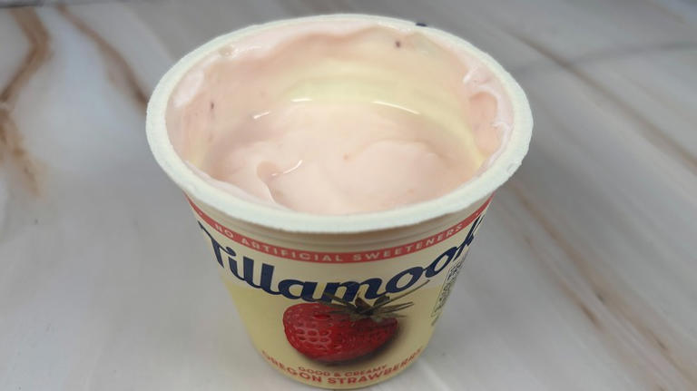 9 Tillamook yogurt flavors, ranked from worst to best