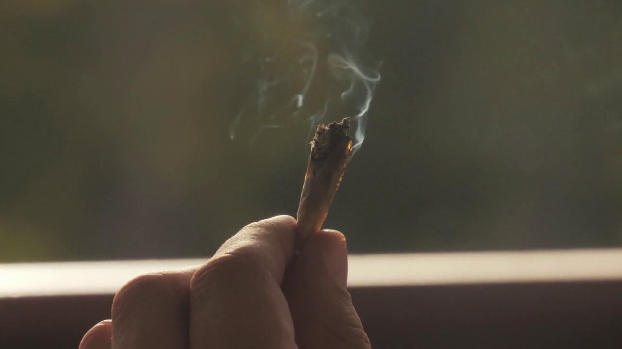 Recreational marijuana could return to Florida ballot in 2026