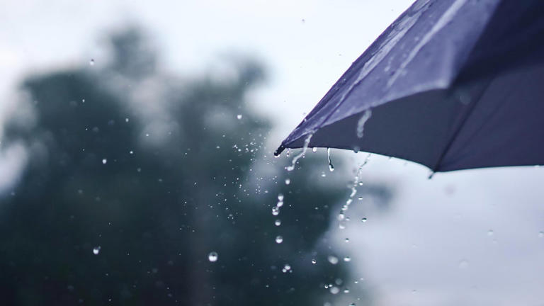 Storm to bring widespread rain to Bay Area, Central Coast