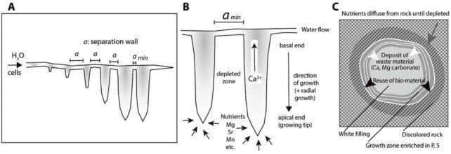 Scientists stumble upon mysterious tunnels in desert rocks