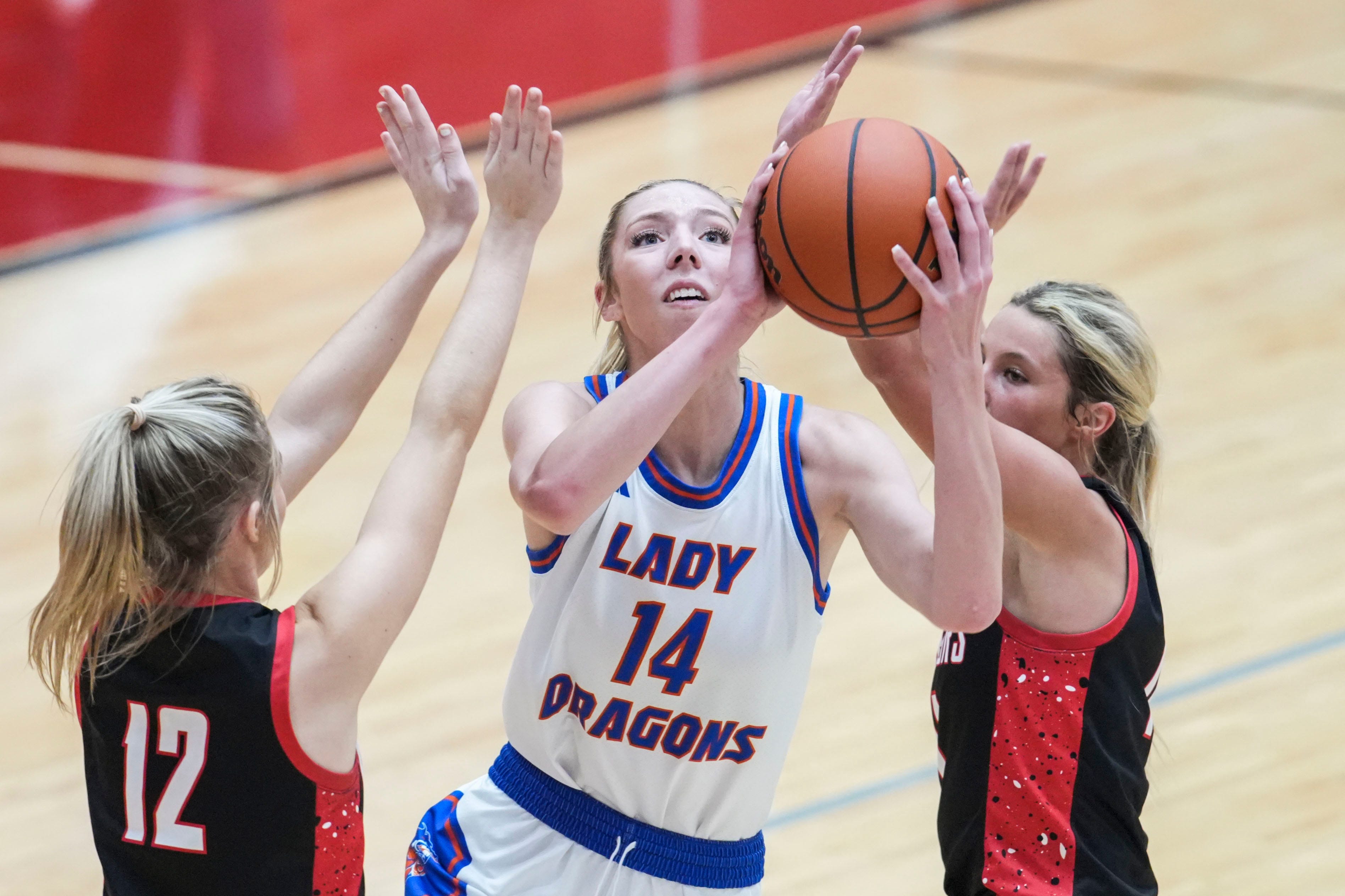 Shots, blocks & boards: Vote for IndyStar girls basketball player of ...