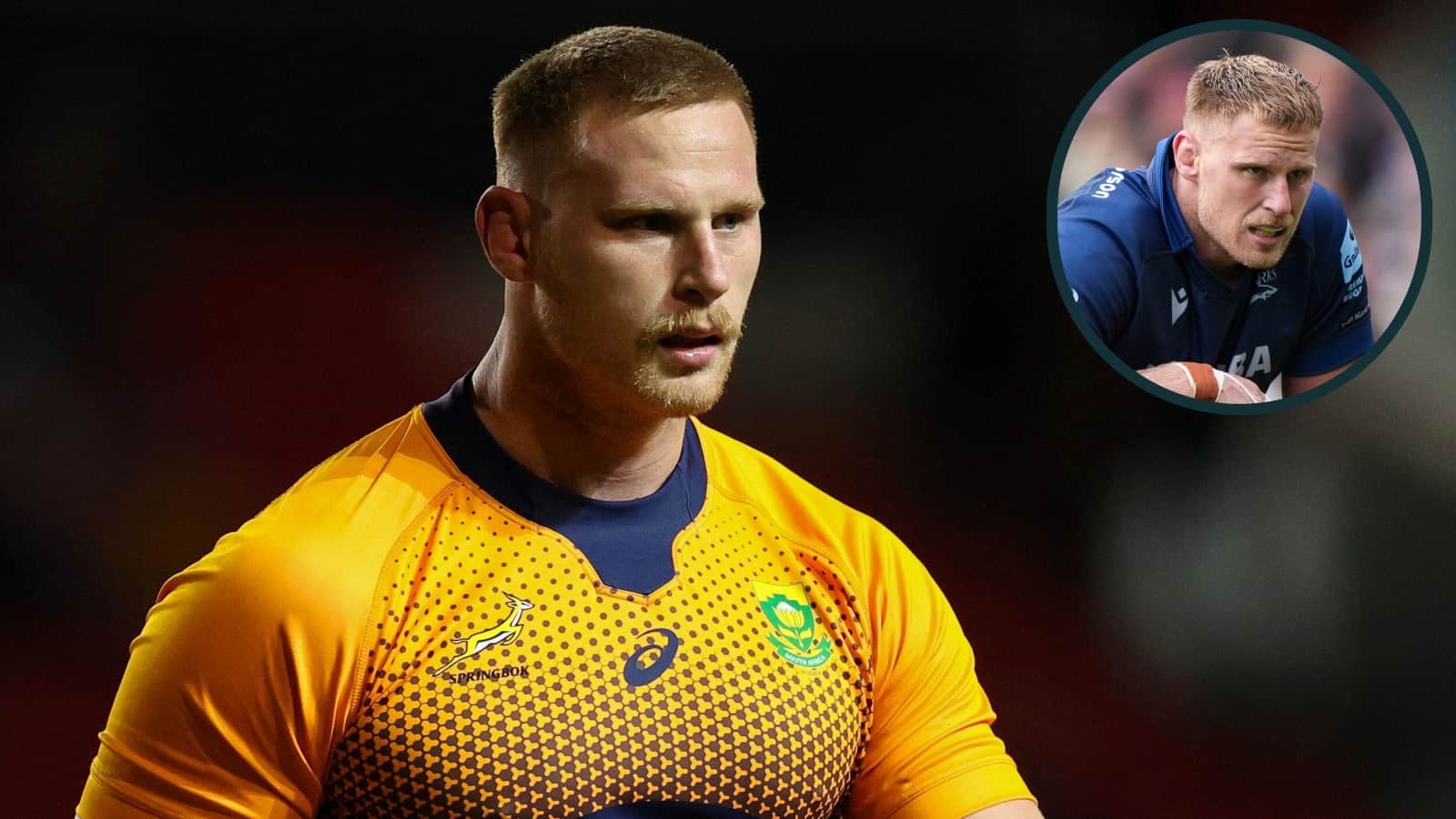 Brutally unlucky Springboks forward set for injury return after ...