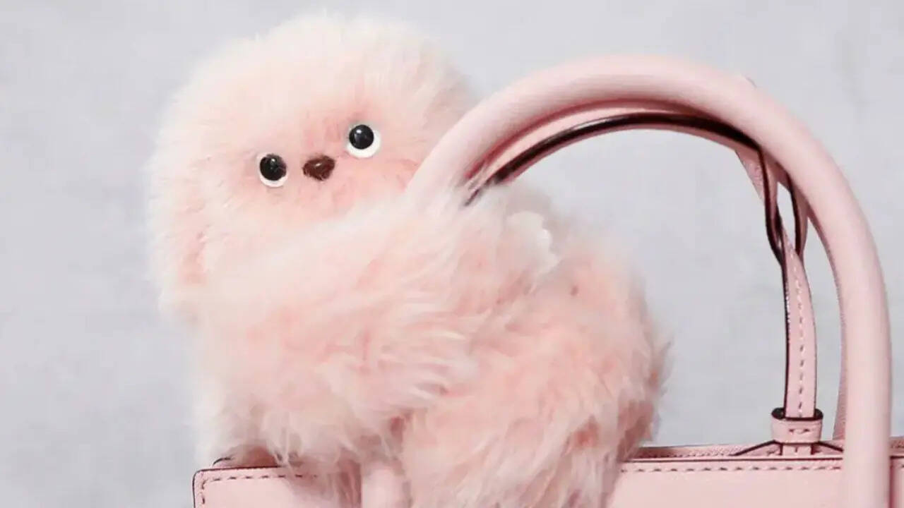 Bye bye Labubu! Mirumi Tokyo is the new comfort obsession replacing ...