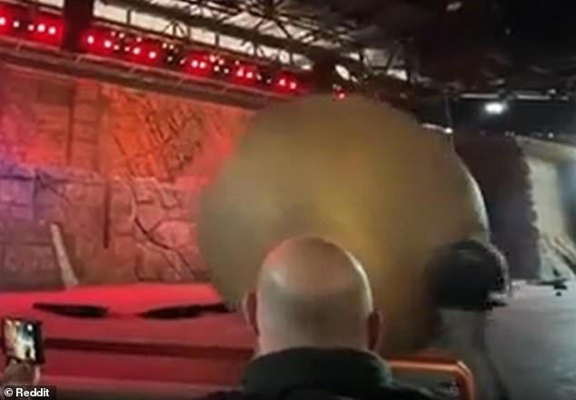 Terrifying moment Disney World employee suffers gruesome injury saving ...