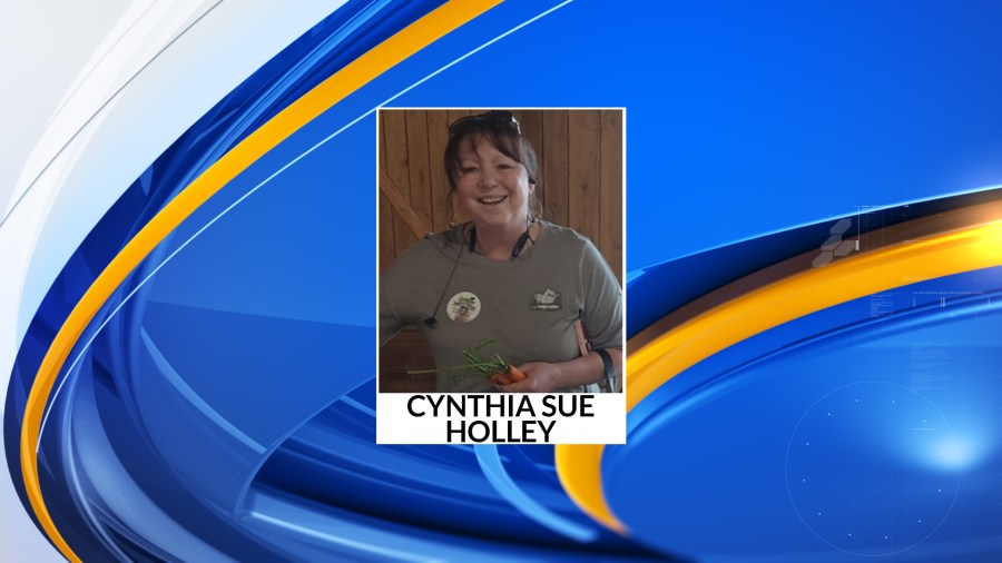Deputies seeking missing West Virginia woman<br><br>