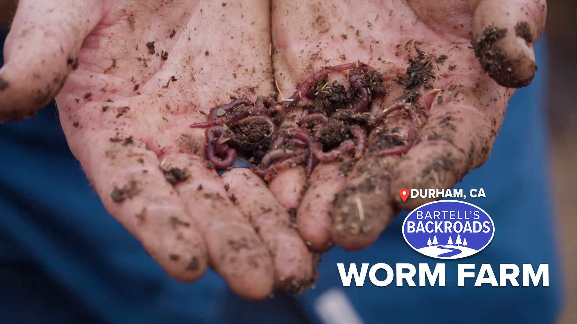 Durham worm farm produces millions of worms for soil and gardens ...