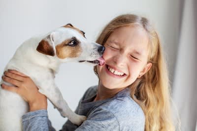 犬が顔を舐めるのは愛情表現とは限らない？愛犬が伝えたいサインに気付いてあげよう