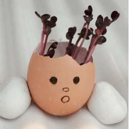 surprisegardening1108