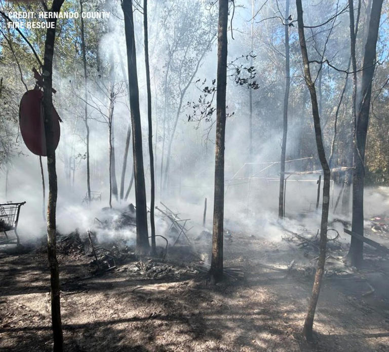 Hernando fire rescue crews respond to brush fire, finding large ...
