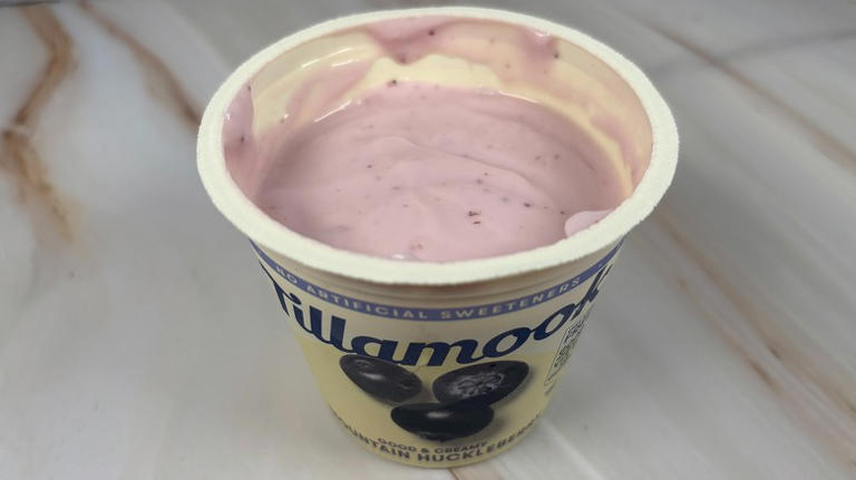 9 Tillamook yogurt flavors, ranked from worst to best