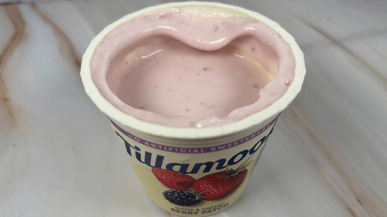 9 Tillamook yogurt flavors, ranked from worst to best
