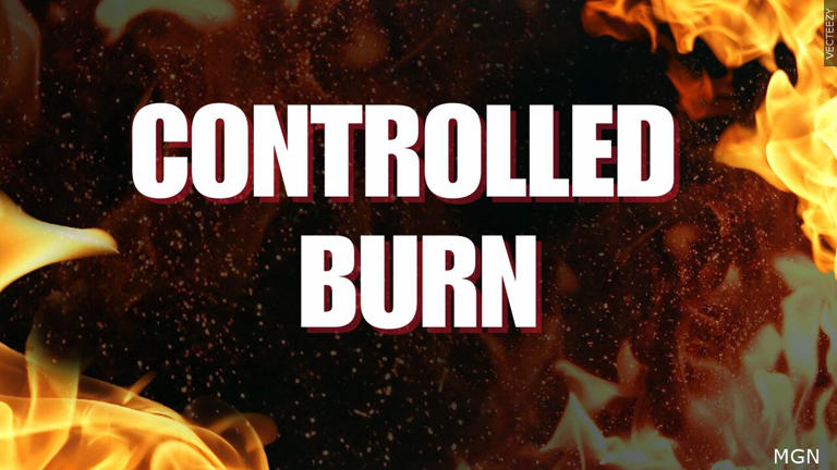 Sunny Point Military Ocean Terminal to conduct controlled burn in Kure ...