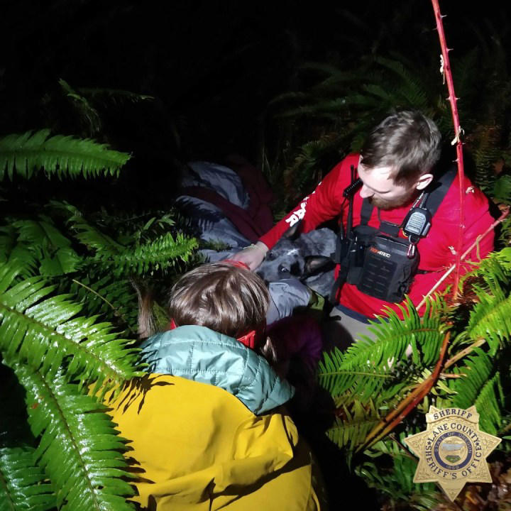 Missing woman, 82, found alive in the woods after dog kept her warm ...
