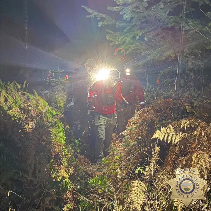 Missing woman, 82, found alive in the woods after dog kept her warm ...