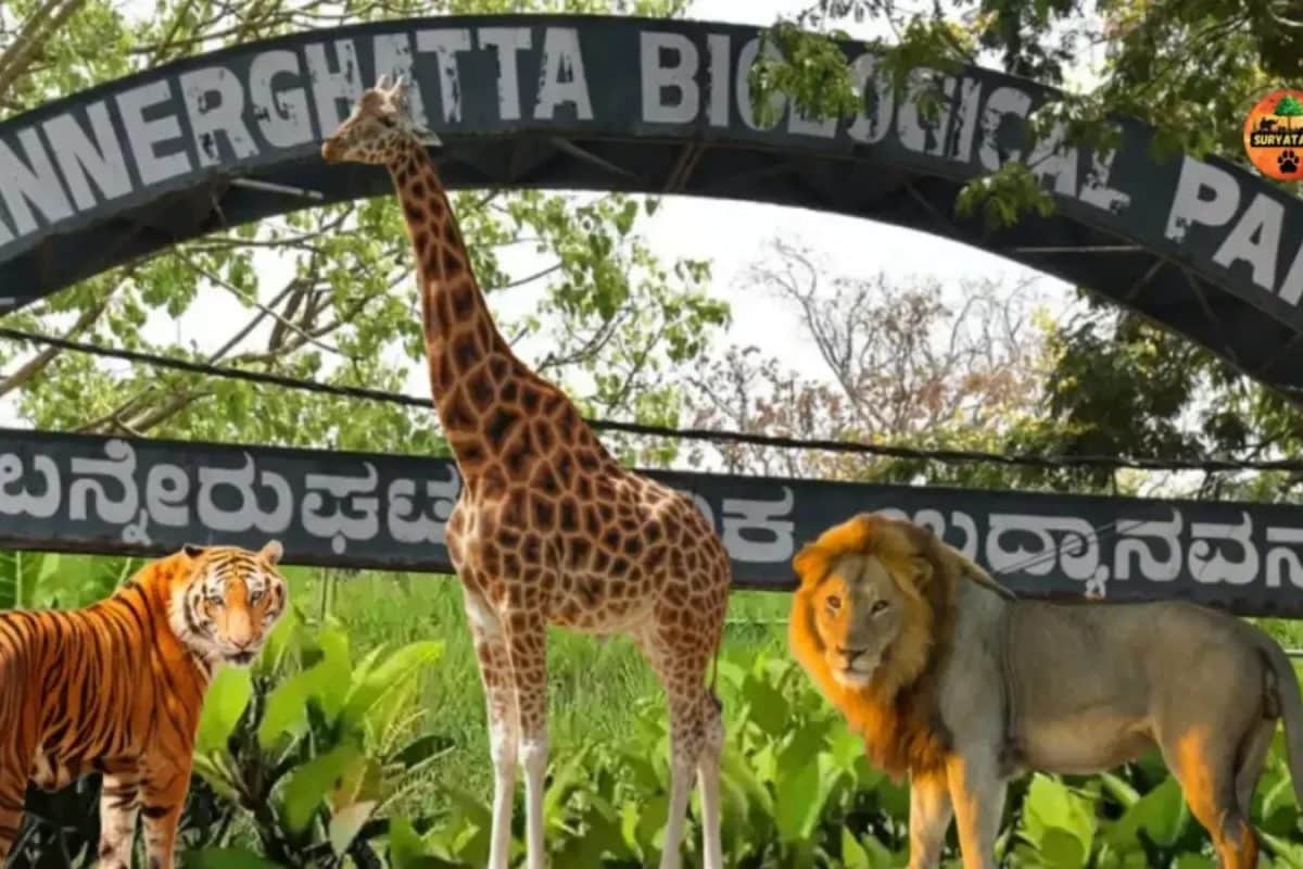 Bengaluru's Bannerghatta National Park faces Aravali-like threat to its