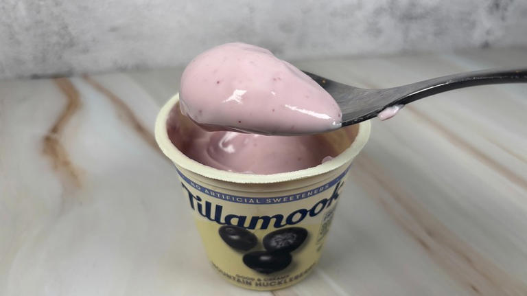 9 Tillamook yogurt flavors, ranked from worst to best