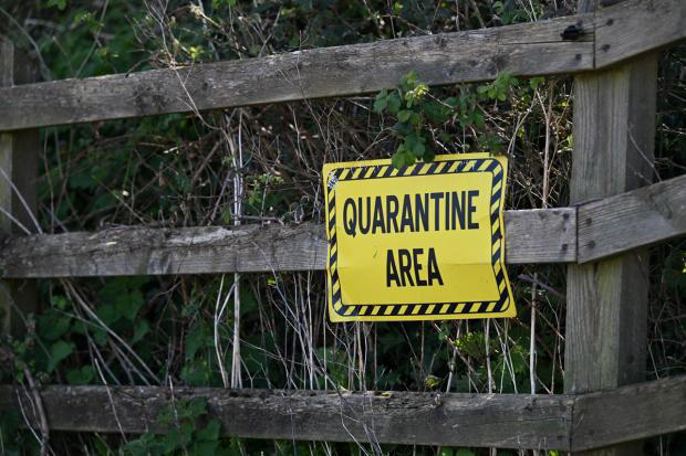 Horse yard takes immediate action after nearby confirmed case of strangles
