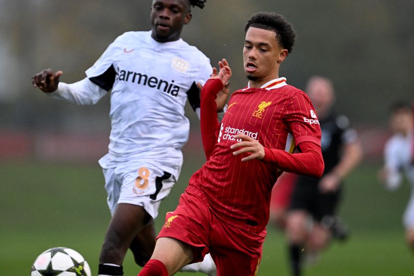 What Ranel Young will bring to Bristol City as Robins confirm first ...