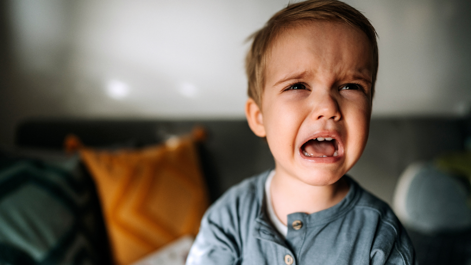 What Every Parent Needs To Know About Your Toddler’s Emotional Outbursts
