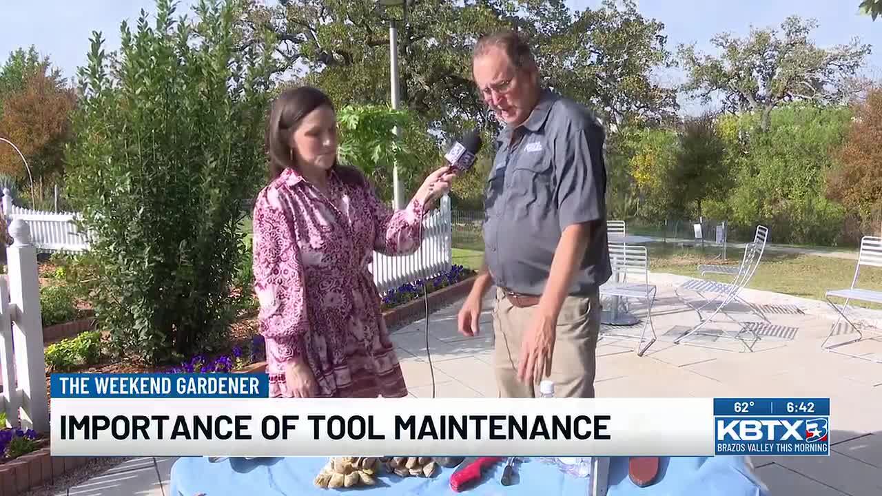 Weekend gardener: Tool maintenance