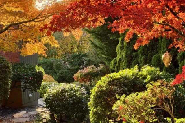 Visitor shares jaw-dropping photos of friend's 'fairytale' garden: 'It ...