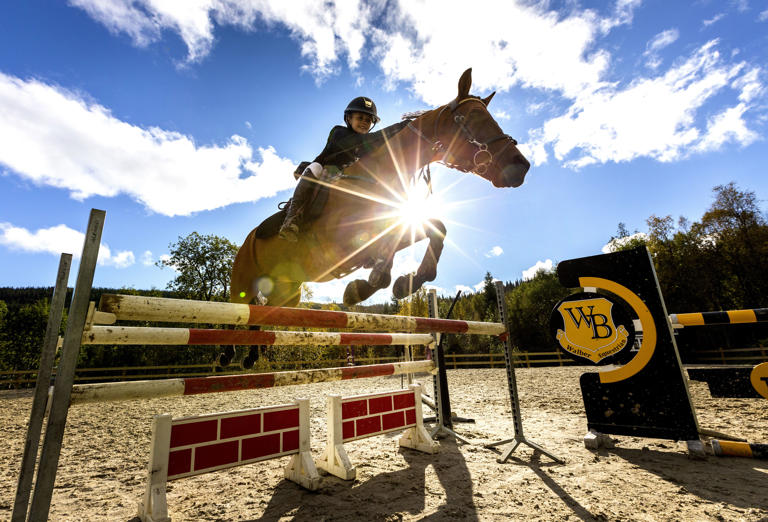 Bella og Lukas er på topp blant hestenavn. Foto: Gorm Kallestad / NTB