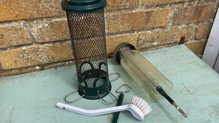 The best method for cleaning your tube bird feeders