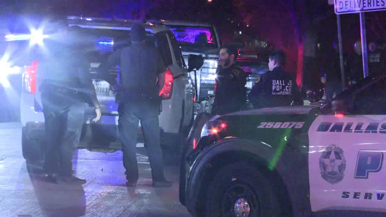 Ellis County high speed chase suspect arrested in Dallas