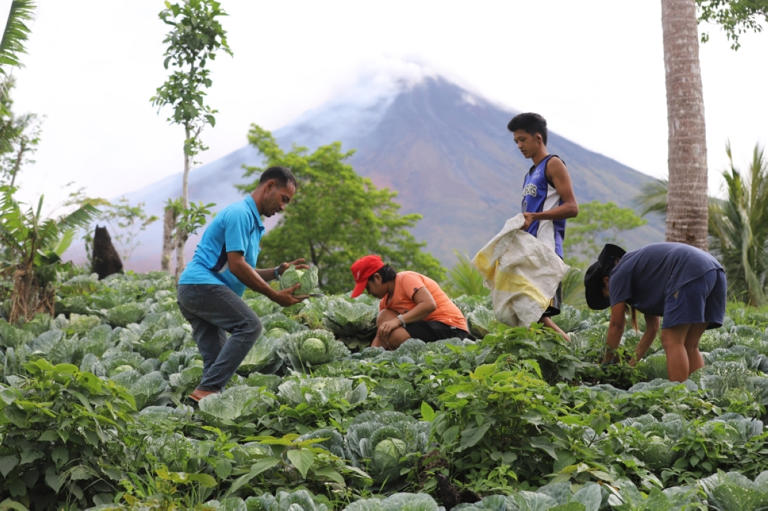 Albay gov orders strict no entry to Mayon's danger zone as volcano ...