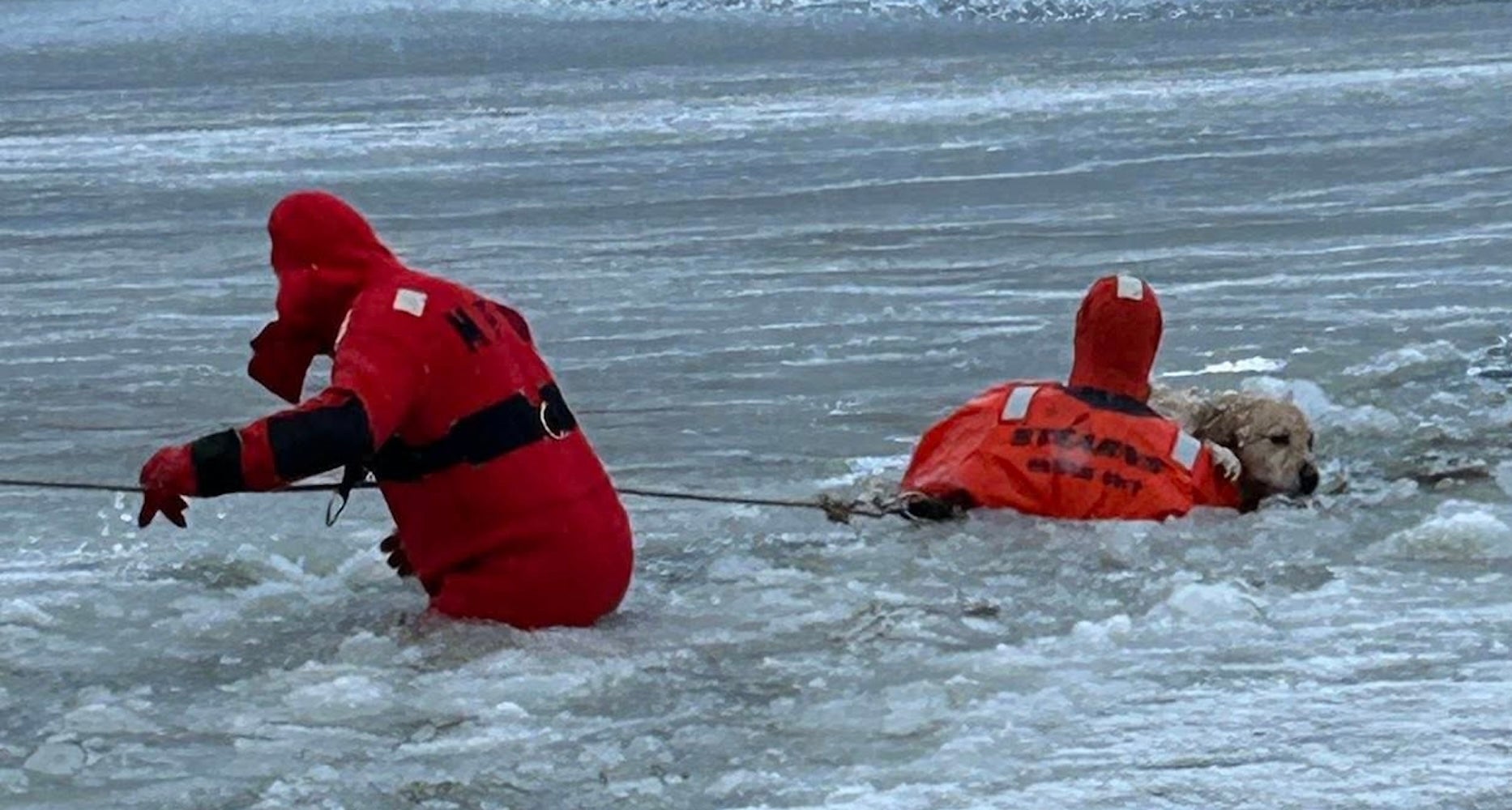 Watch: Firefighters in RI rescue yellow lab who fell through the ice
